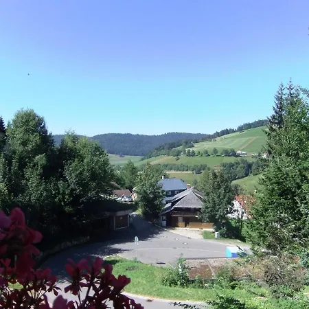 Fewo 8 - Residenz Schauinsland- Todtnauberg, Bei Feldberg Todtnauberg