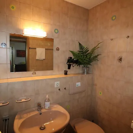 Daire Fewo 8 - Residenz Schauinsland- Todtnauberg, Bei Feldberg *